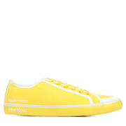 Pantone Universe REA