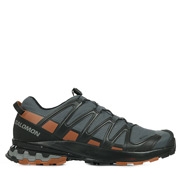 Salomon Xa Pro 3D v8 GTX