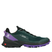 Salomon Cross Over GTX