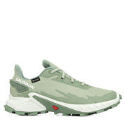 Salomon Alphacross 4 GTX