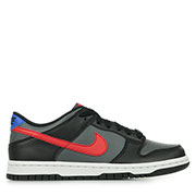 Nike Dunk Low Gs