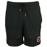 Nike Mesh Short F2