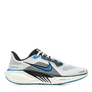 Nike Air Zoom Pegasus 41