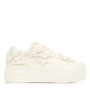 Buffalo Paired butterfly