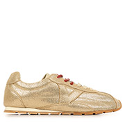 Victoria Aster Metal