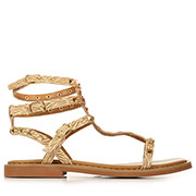 Les Tropéziennes by M.Belarbi Coralie