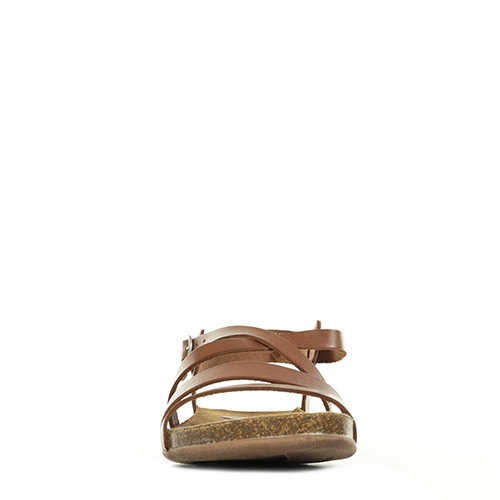 Kickers Anatomium