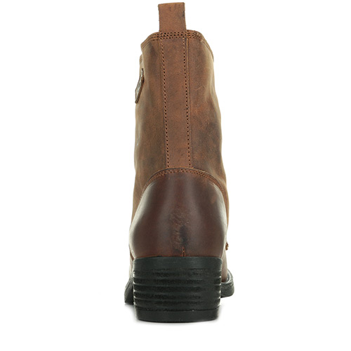PLDM by Palladium Ranch Cleo