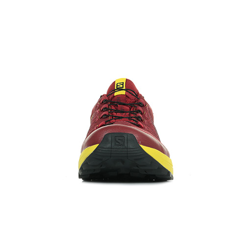 Salomon XA Elevate Gtx