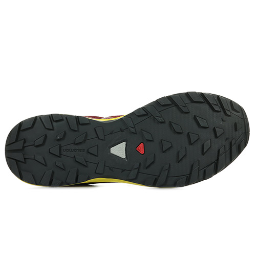 Salomon XA Elevate Gtx