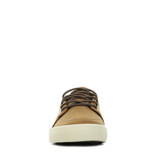 Globe GS
