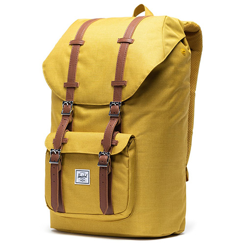 Herschel Little America