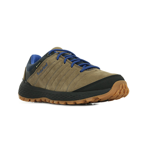 Timberland Parker Ridge Low GTX