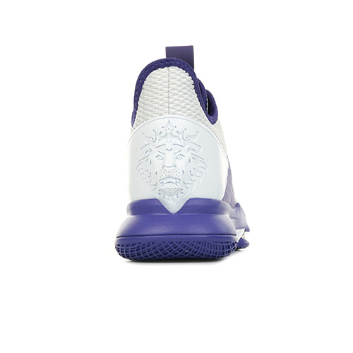 Nike Lebron Witness IV