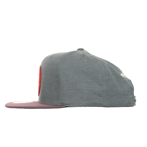 Mitchell & Ness Casquette Toronto Raptors