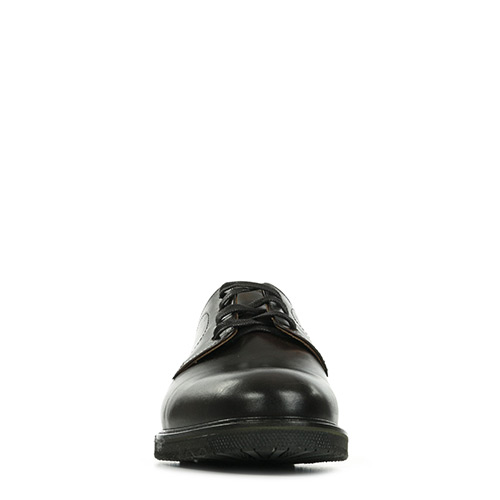 Timberland Oakrock LT Oxford