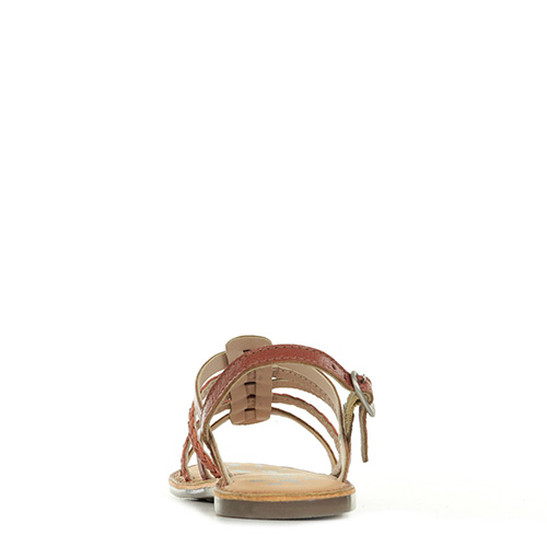 Kickers Distrez