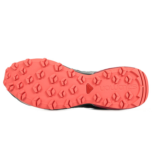 Salomon Speedcross Vario 2