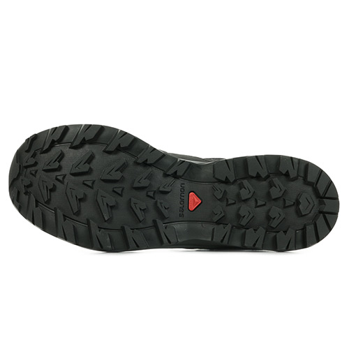 Salomon Torridon GTX Wn's