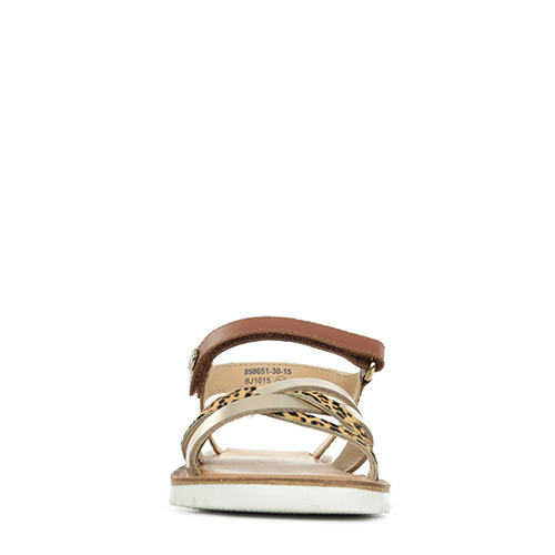 Kickers Betternew