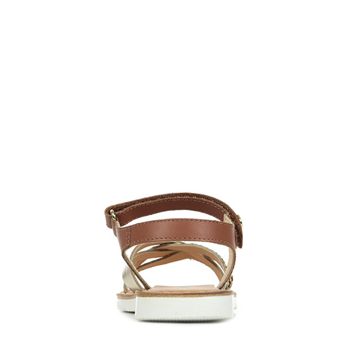 Kickers Betternew