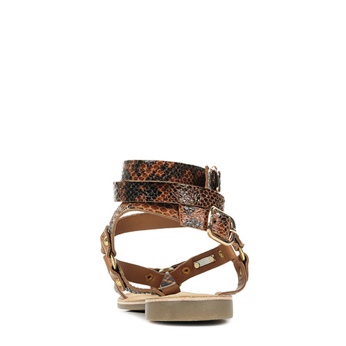 Les Petites Bombes Bleona