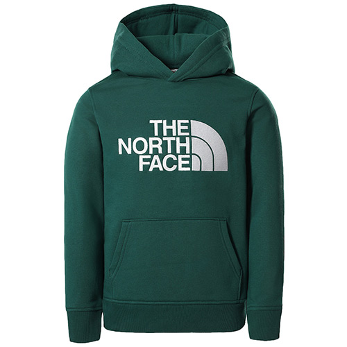 The North Face Drew Peak Pullover Hoodie Kids - Vert