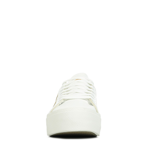 Gola Orchid Platform