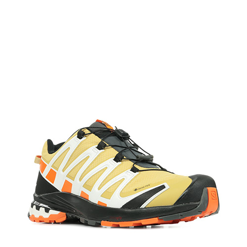 Salomon Xa Pro 3D V8 Gtx