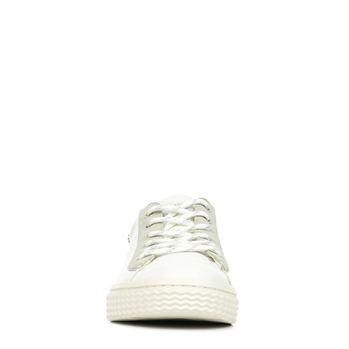 Palladium Pallatempo 04