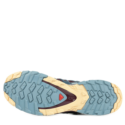Salomon Xa Pro 3D v8 Wn's