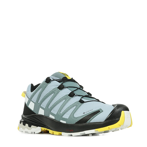 Salomon XA Pro 3D v8 GTX W
