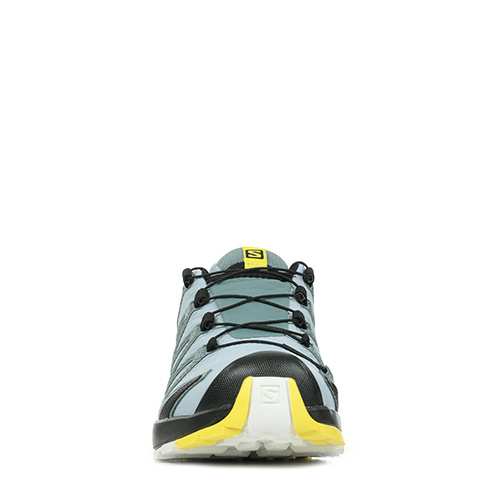 Salomon XA Pro 3D v8 GTX W