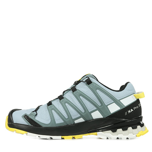 Salomon XA Pro 3D v8 GTX W
