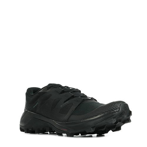 Salomon Wildcross GTX