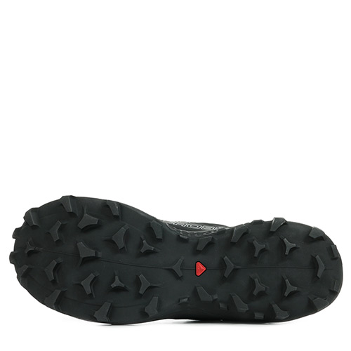 Salomon Wildcross GTX