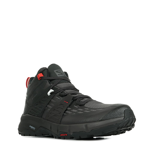Salomon Odyssey Mid GTX