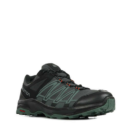 Salomon Leonis GTX