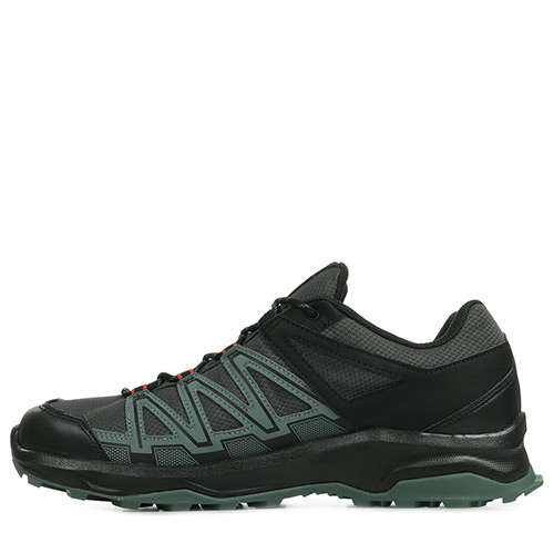 Salomon Leonis GTX