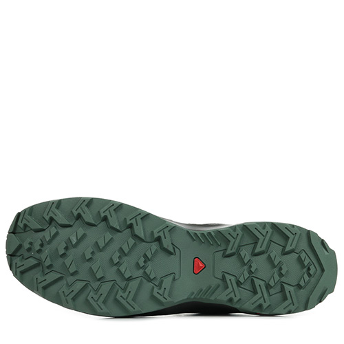 Salomon Leonis GTX