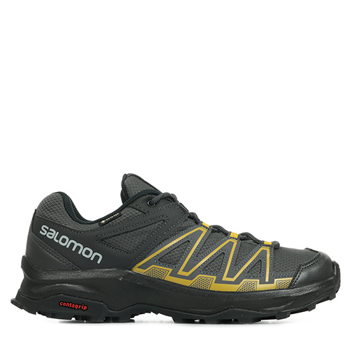 Leonis GTX
