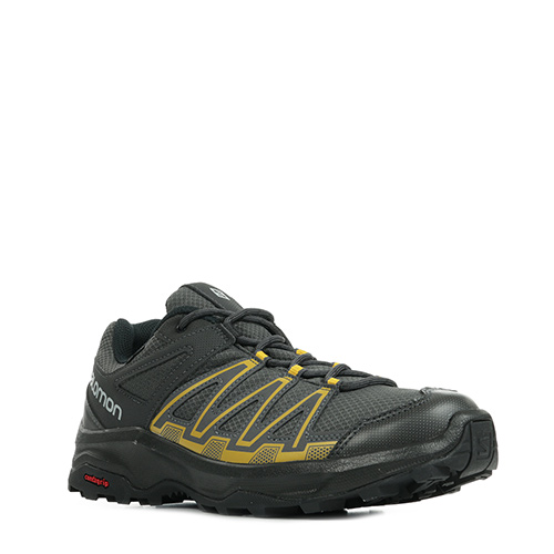 Salomon Leonis GTX