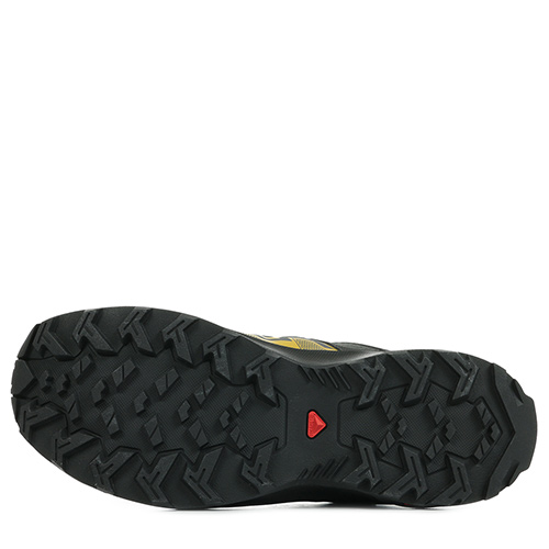 Salomon Leonis GTX
