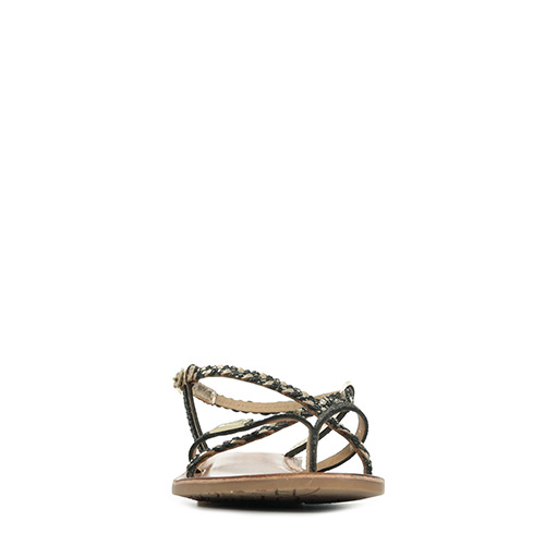 Les Tropéziennes by M Belarbi Monatres