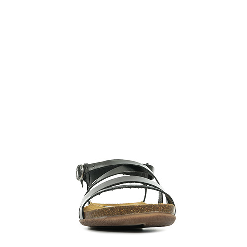 Kickers Anatomium