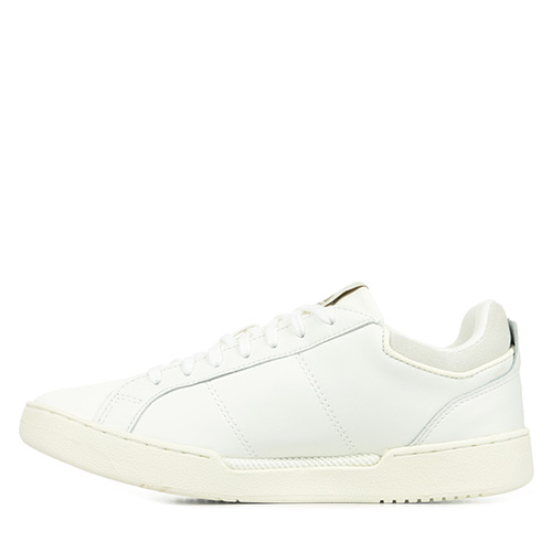 Le Coq Sportif Stadium