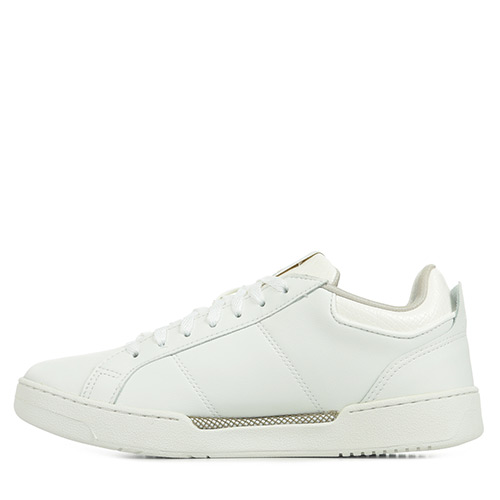 Le Coq Sportif Stadium Chimere