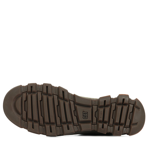 Caterpillar Prepense