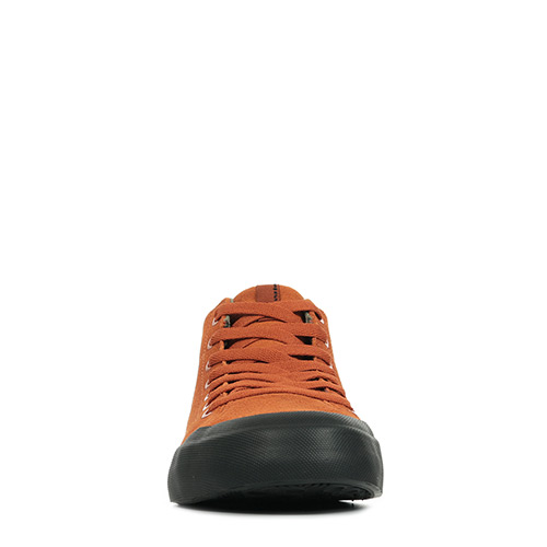 DC Shoes Evian Smith HI Zero