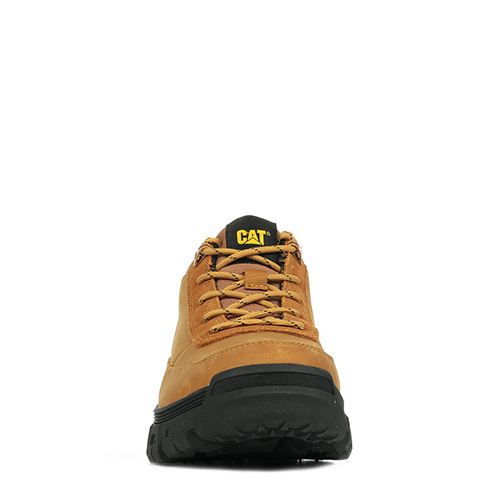 Caterpillar Inversion Mid
